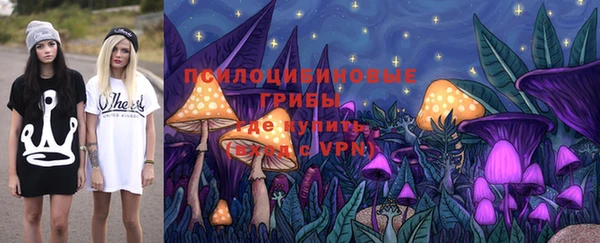 ПСИЛОЦИБИНОВЫЕ ГРИБЫ Магас