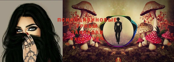 ECSTASY Абдулино